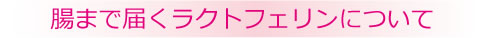 腸まで届くラクトフェリンについて